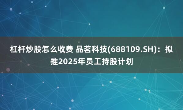 杠杆炒股怎么收费 品茗科技(688109.SH)：拟推2025年员工持股计划