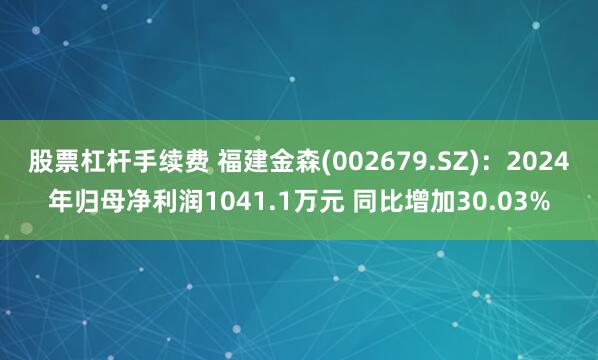 股票杠杆手续费 福建金森(002679.SZ)：2024年归母净利润1041.1万元 同比增加30.03%