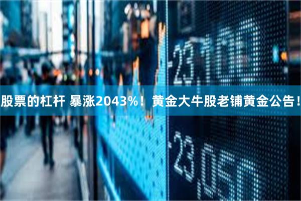 股票的杠杆 暴涨2043%！黄金大牛股老铺黄金公告！