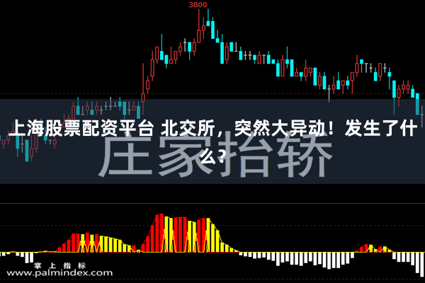 上海股票配资平台 北交所，突然大异动！发生了什么？