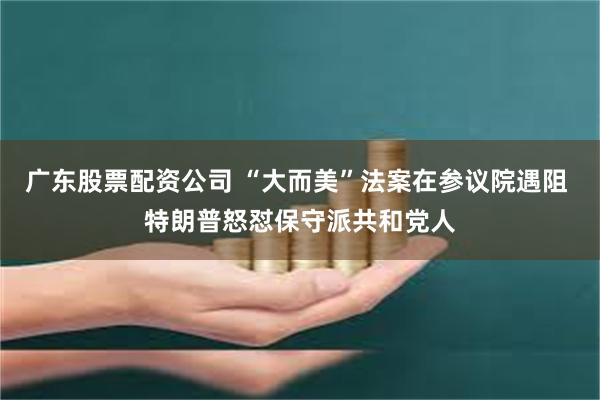 广东股票配资公司 “大而美”法案在参议院遇阻 特朗普怒怼保守派共和党人