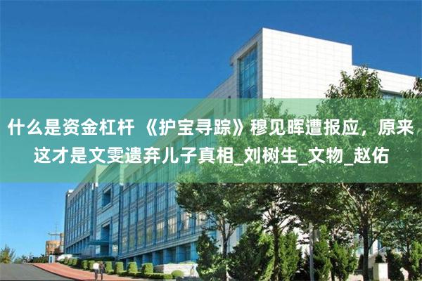 什么是资金杠杆 《护宝寻踪》穆见晖遭报应，原来这才是文雯遗弃儿子真相_刘树生_文物_赵佑