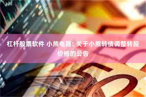 杠杆股票软件 小熊电器: 关于小熊转债调整转股价格的公告